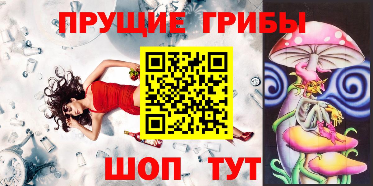 Сунжа  Псилоцибиновые грибы мицелий  Вход с VPN 