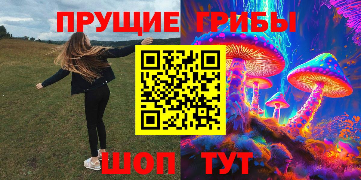 Псилоцибиновые грибы Cubensis Сунжа